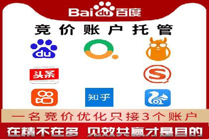 竞价托管成功案例：如何选择合适的托管方案？